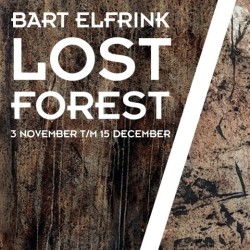 06-24-BART-ELFRINK---header-kopie.jpg