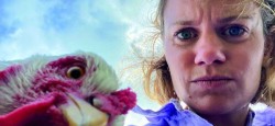 Chicks in Dialogue