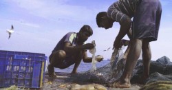 Nimma aan Zee: Against the Tide