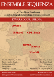2025 feb - Flyer Sequenza.PNG