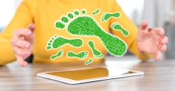 240201 Digitale voetafdruk - Beeld thodonal88 via shutterstock..jpeg