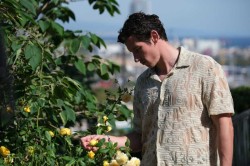 Rosebush Pruning