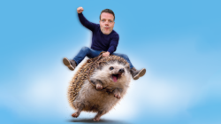 Martijn Koning