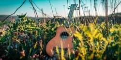 Workshop: ukelele aan de Waal voor beginners