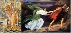 midas orpheus.jpg