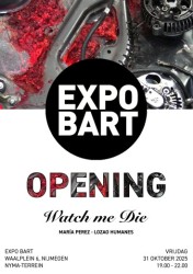 opening poster staand kopie.jpg
