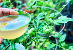 Verjaardagsfeest BUUR West.png