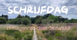 zintuigen.jpeg
