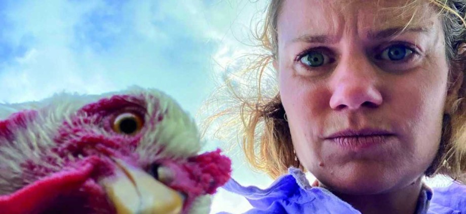 Chicks in Dialogue