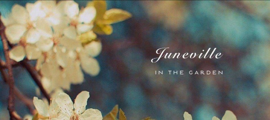 Tien jaar In the Garden