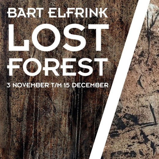 06-24-BART-ELFRINK---header-kopie.jpg