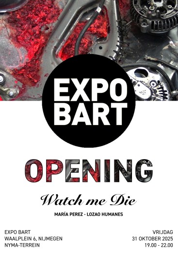 opening poster staand kopie.jpg