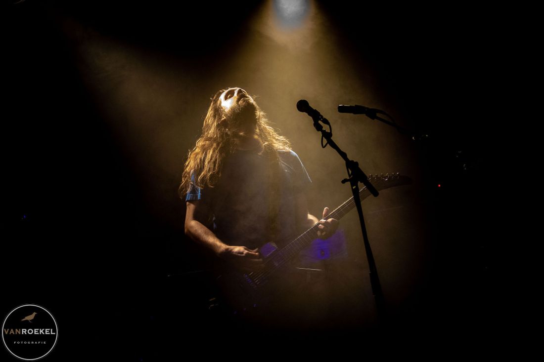 Part Chimp: een fotoverslag