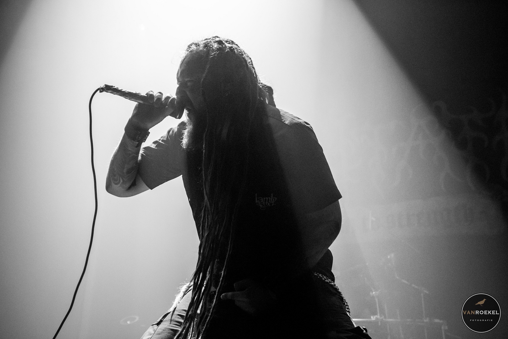 61507527 724878921278696 8716203357737320448 n