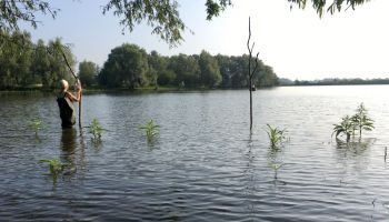 Belevenistheater van Spaanse Peper op de vroege zondagochtend
