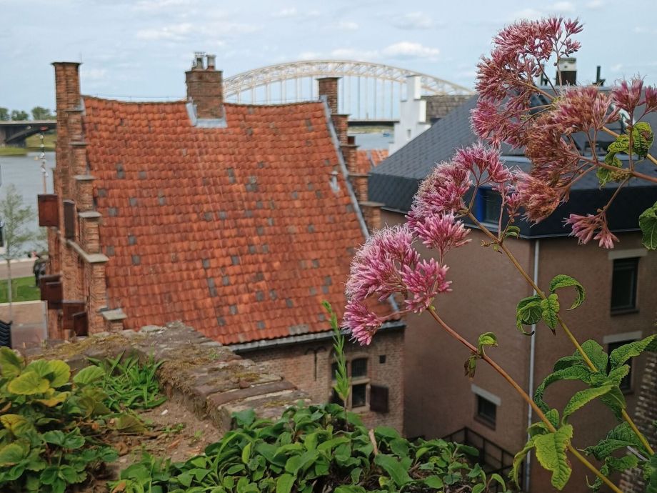Besiendershuis