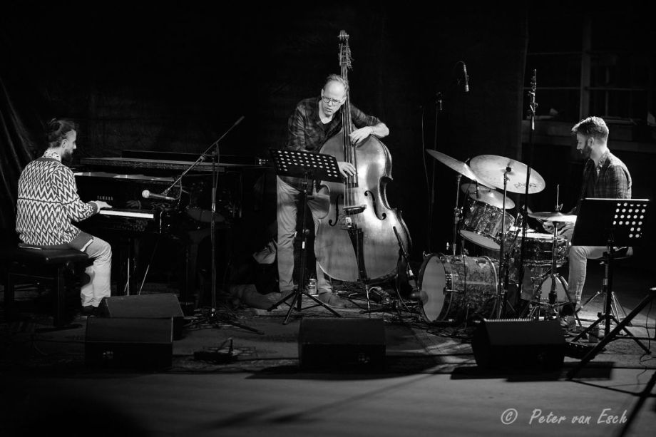 Baby Otis in Brebl. Veelzijdig! Of té veelzijdig?