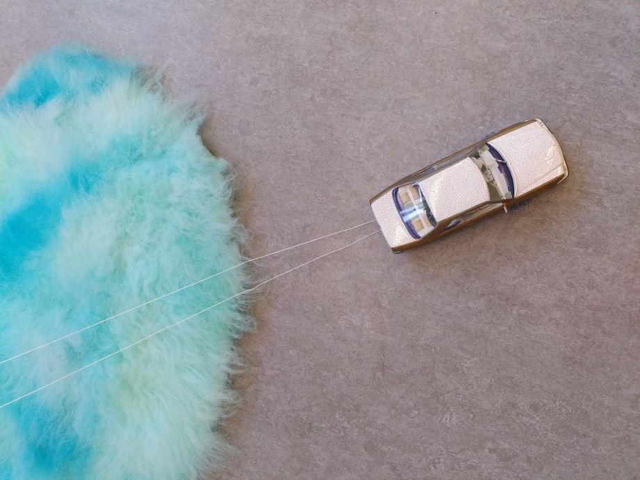 "Hout, zand, bont & diefstal"